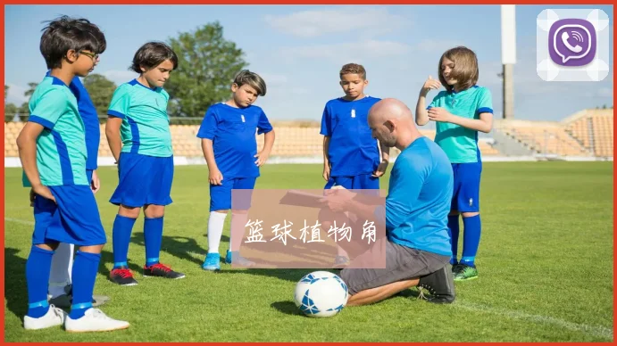 篮球植物角