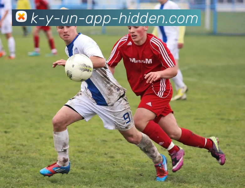 kaiyun中国官方网站品牌故事