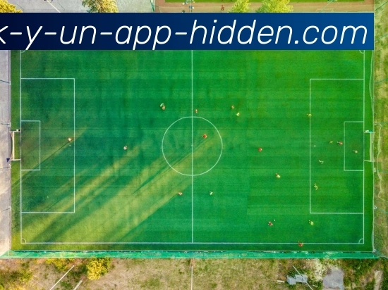App 示例图